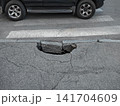 Asphalt collapse due to destruction of drainage system 141704609