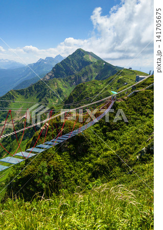 Vertical photo of a glass suspension bridge in the mountains in Sochi, Russia. High altitude rope walkway. Scenic landscape with green peaks at Rosa Khutor resort Vertical photo of a glass suspension bridge in the mountains in Sochi, Russia. High altitude rope walkway. Scenic landscape with green peaks at Rosa Khutor resort 141705675