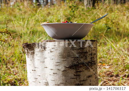 Wild berry muesli breakfast on birch stump in finnish forest  near Hamina, Finland. Rustic outdoor breakfast. 141706317