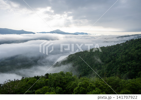 北海道 黒岳登山中の風景 北海道 黒岳登山中の風景 141707922