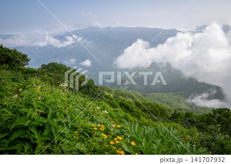 北海道 黒岳登山中の風景 北海道 黒岳登山中の風景 141707932