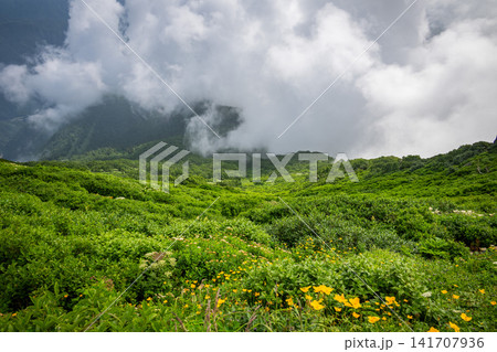 北海道 黒岳登山中の風景 北海道 黒岳登山中の風景 141707936