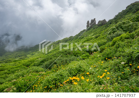 北海道 黒岳登山中の風景 北海道 黒岳登山中の風景 141707937