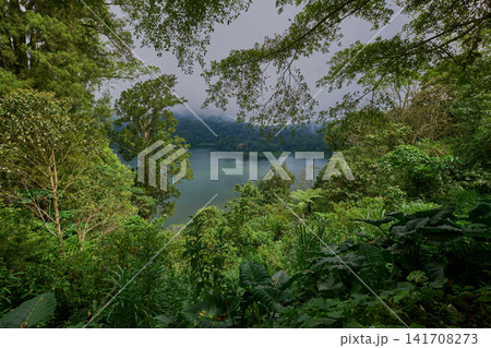 Bali Twin Lakes Viewpoint overlooks both Tamblingan Lake and Buyan Lake in Munduk, Bali Indonesia. 141708273