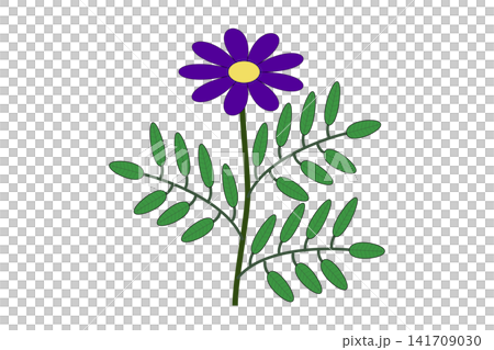 An illustration of a plant with purple flowers. An illustration of a plant with purple flowers. 141709030
