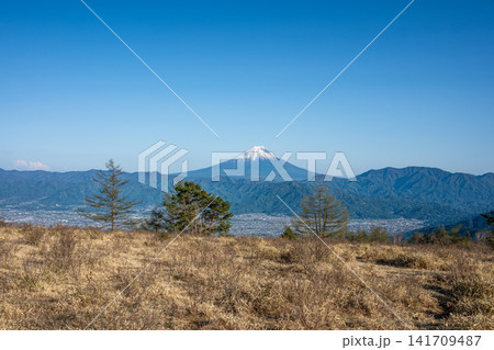甘利山の木道から望む、甲府盆地と美しく冠雪した富士山の絶景 甘利山の木道から望む、甲府盆地と美しく冠雪した富士山の絶景 141709487