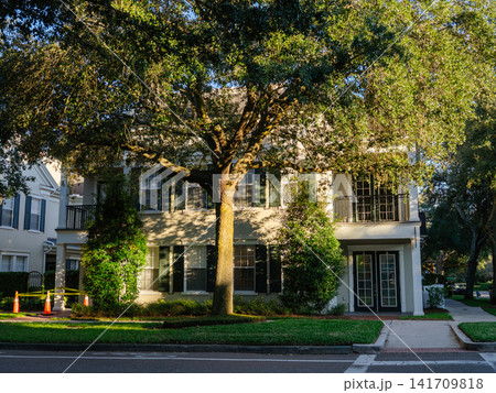A mature oak tree shades a modern residential house with elegant architecture and landscaped greenery. Warm afternoon sunlight creates a peaceful suburban neighborhood scene. A mature oak tree shades a modern residential house with elegant architecture and landscaped greenery. Warm afternoon sunlight creates a peaceful suburban neighborhood scene. 141709818