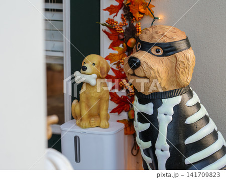 Two decorative dog figures with Halloween costumes stand on a beautifully decorated front porch. Autumn leaves, lights, and seasonal ornaments create a festive Halloween home display. Two decorative dog figures with Halloween costumes stand on a beautifully decorated front porch. Autumn leaves, lights, and seasonal ornaments create a festive Halloween home display. 141709823