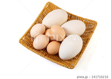 fresh Large White Goose Eggs Compared With Brown Chicken Eggs fresh Large White Goose Eggs Compared With Brown Chicken Eggs 141710210