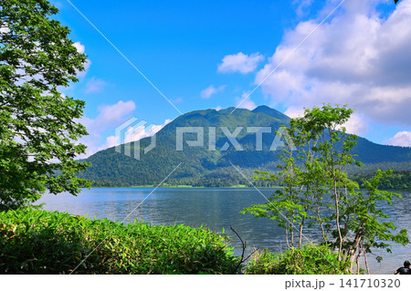 尾瀬沼と燧ケ岳　青空眩しい　夏の風景　　　　 141710320