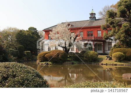 東京大学総合研究博物館の建つ小石川植物園の風景 141710567