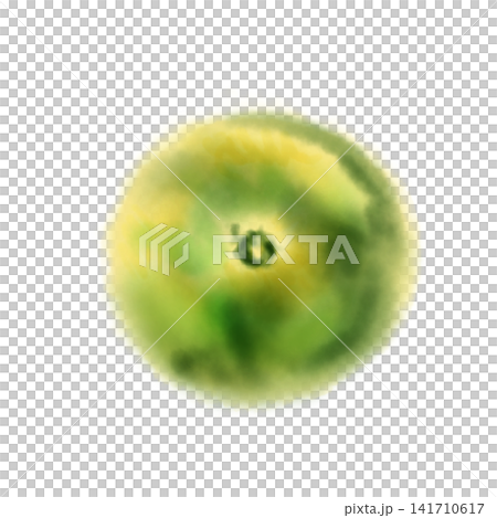 Watercolor illustration of a mandarin orange, soft green citrus fruit Watercolor illustration of a mandarin orange, soft green citrus fruit 141710617