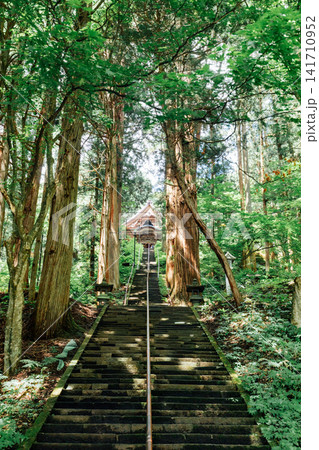 【長野市戸隠】戸隠神社 宝光社 石段 参道 【長野市戸隠】戸隠神社 宝光社 石段 参道 141710952