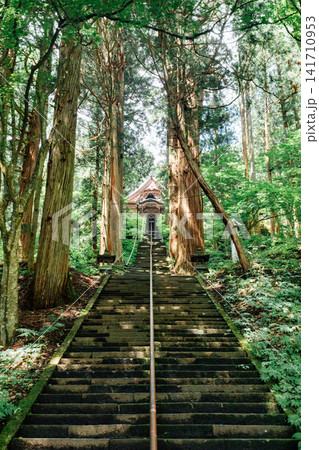 【長野市戸隠】戸隠神社 宝光社 石段 参道 【長野市戸隠】戸隠神社 宝光社 石段 参道 141710953