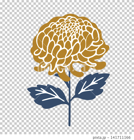 A hand-drawn style illustration of a single chrysanthemum flower. A hand-drawn style illustration of a single chrysanthemum flower. 141711166