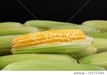 fresh green sweet corn with husks and cooked corn segments on plate fresh green sweet corn with husks and cooked corn segments on plate 141711363