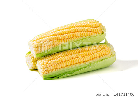fresh yellow sweet waxy corn cobs with husks isolated on white background fresh yellow sweet waxy corn cobs with husks isolated on white background 141711406