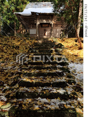 イチョウの落ち葉と残雪の比叡山神社 イチョウの落ち葉と残雪の比叡山神社 141711763