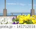 海の見える日 141712018