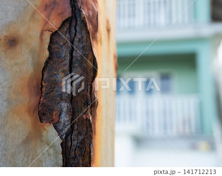Close up of heavily rusted metal fence post with peeling rust layer and corrosion Close up of heavily rusted metal fence post with peeling rust layer and corrosion 141712213