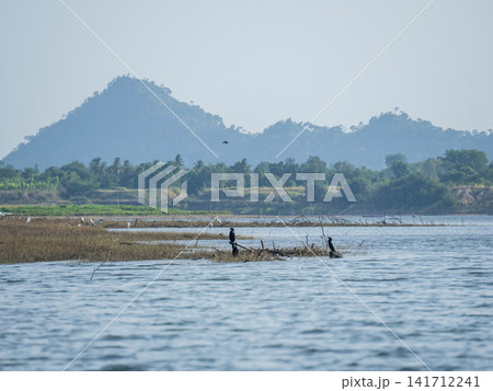 Wide panoramic view of a serene lake with mountains and forest shore under clear blue sky Wide panoramic view of a serene lake with mountains and forest shore under clear blue sky 141712241