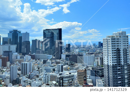 東京新宿 歌舞伎町タワーから観る新宿副都心の風景 東京新宿 歌舞伎町タワーから観る新宿副都心の風景 141712329