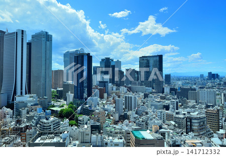 東京新宿 歌舞伎町タワーから観る新宿副都心の風景 東京新宿 歌舞伎町タワーから観る新宿副都心の風景 141712332