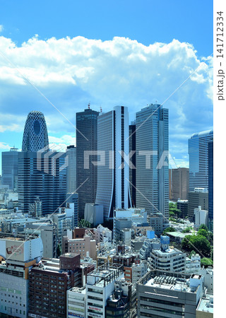 東京新宿 歌舞伎町タワーから観る新宿副都心の風景 東京新宿 歌舞伎町タワーから観る新宿副都心の風景 141712334