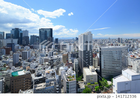 東京新宿 歌舞伎町タワーから観る新宿副都心の風景 東京新宿 歌舞伎町タワーから観る新宿副都心の風景 141712336