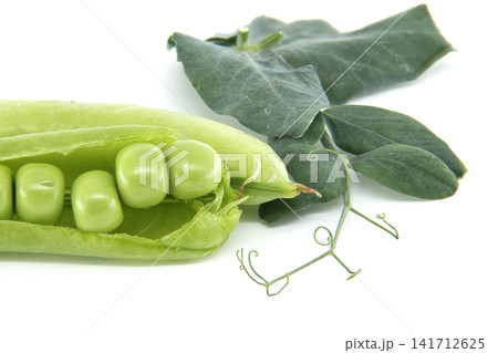 Fresh green pea pod with plump seeds and delicate tendrils on a white background Fresh green pea pod with plump seeds and delicate tendrils on a white background 141712625