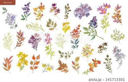 水彩手書きの秋の草花、木の実のベクターイラストセット 水彩手書きの秋の草花、木の実のベクターイラストセット 141713301