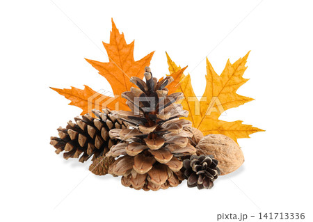 Arrangement features pinecones and vibrant leaves, highlighting natural beauty, PNG Arrangement features pinecones and vibrant leaves, highlighting natural beauty, PNG 141713336