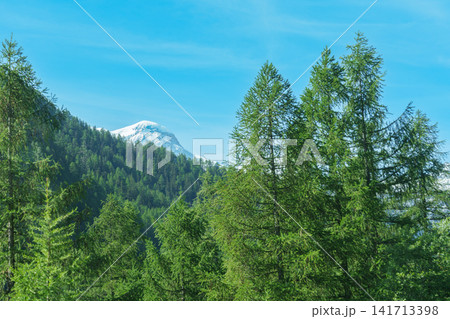 Snow Capped Mountains with green forest near Matterhorn Mountain in Zermatt, Switzerland, Scenic Swiss Alps Landscape under Blue Sky, Famous Swiss Alps Landmark and popular European Travel Destination Snow Capped Mountains with green forest near Matterhorn Mountain in Zermatt, Switzerland, Scenic Swiss Alps Landscape under Blue Sky, Famous Swiss Alps Landmark and popular European Travel Destination 141713398