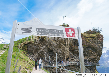 Scenic view of Swiss Alps with First Cliff Walk at Grindelwald First, Switzerland. Beautiful landscape in Jungfrau Region. famous Europe summer hiking trail and travel destination. Top of Adventure Scenic view of Swiss Alps with First Cliff Walk at Grindelwald First, Switzerland. Beautiful landscape in Jungfrau Region. famous Europe summer hiking trail and travel destination. Top of Adventure 141713431