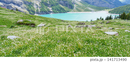 Scenic landscape of Oeschinensee or turquoise Oeschinen Lake in summer under blue sky with wildflowers and Stunning Swiss Alps. Spectacular green meadow hiking trail view, Kandersteg, Switzerland Scenic landscape of Oeschinensee or turquoise Oeschinen Lake in summer under blue sky with wildflowers and Stunning Swiss Alps. Spectacular green meadow hiking trail view, Kandersteg, Switzerland 141713490