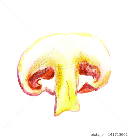 Sliced mushroom watercolor illustration. Hand drawn clipart for food menus, recipe cards, kitchen 141713601