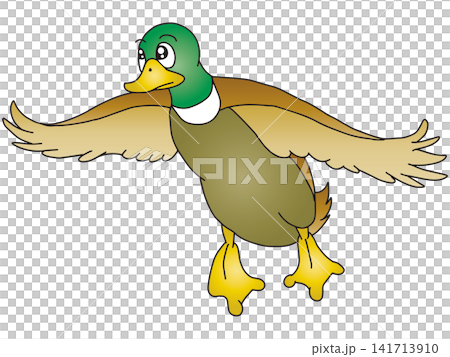 手書き動物イラスト☆マガモ 手書き動物イラスト☆マガモ 141713910
