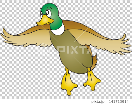 手書き動物イラスト☆マガモ 手書き動物イラスト☆マガモ 141713914