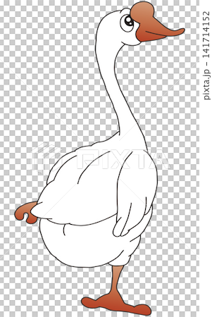 手書き動物イラスト☆ガチョウ 手書き動物イラスト☆ガチョウ 141714152
