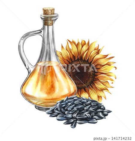 Sunflower oil. Hand-drawn watercolor illustration. Glass bottle of oil and sunflower flower and a handful of seeds. Element of label and packaging design, banners, posters, and more. 141714232