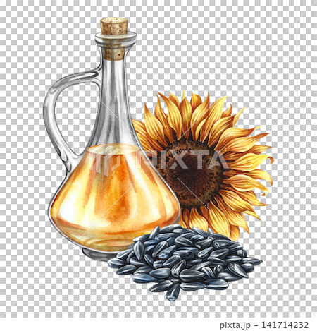 Sunflower oil. Hand-drawn watercolor illustration. Glass bottle of oil and sunflower flower and a handful of seeds. Element of label and packaging design, banners, posters, and more. 141714232