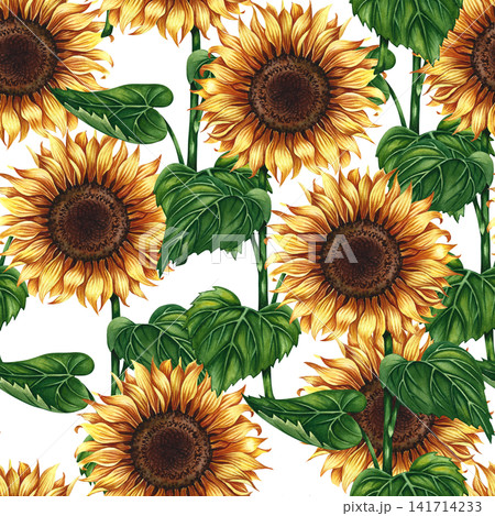 Seamless pattern with sunflowers. Hand-drawn watercolor illustration. Beautiful floral pattern. Perfect for textiles, decor, packaging and labels, prints, wallpapers, and more. Seamless pattern with sunflowers. Hand-drawn watercolor illustration. Beautiful floral pattern. Perfect for textiles, decor, packaging and labels, prints, wallpapers, and more. 141714233