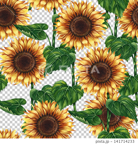 Seamless pattern with sunflowers. Hand-drawn watercolor illustration. Beautiful floral pattern. Perfect for textiles, decor, packaging and labels, prints, wallpapers, and more. Seamless pattern with sunflowers. Hand-drawn watercolor illustration. Beautiful floral pattern. Perfect for textiles, decor, packaging and labels, prints, wallpapers, and more. 141714233