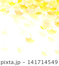 黄色いイチョウの葉 141714549