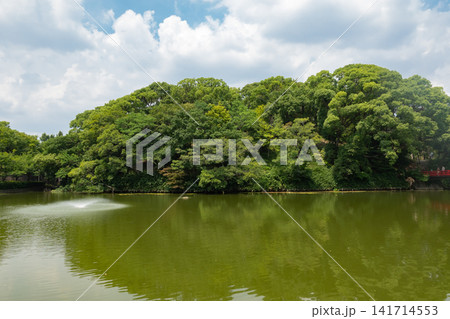 河底池(天王寺公園) 河底池(天王寺公園) 141714553