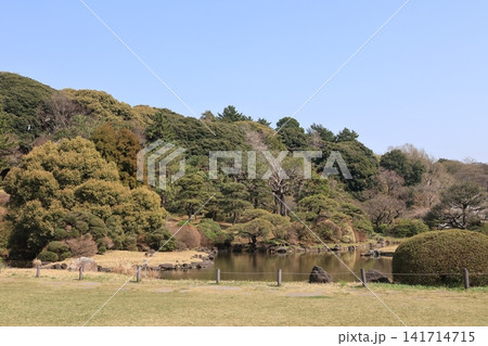 小石川植物園日本庭園の風景 141714715