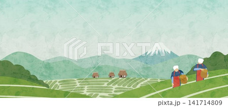 新茶の季節をイメージした茶畑の風景イラスト 新茶の季節をイメージした茶畑の風景イラスト 141714809