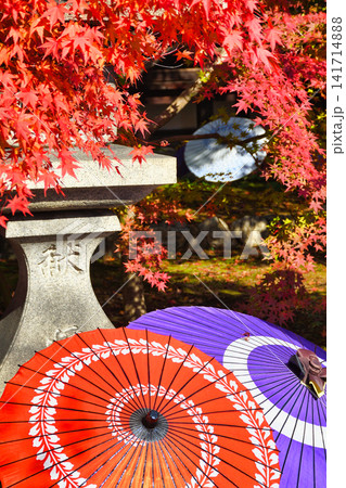 京都 勝林寺 秋の美しい紅葉(京都府京都市東山区) 京都 勝林寺 秋の美しい紅葉(京都府京都市東山区) 141714888