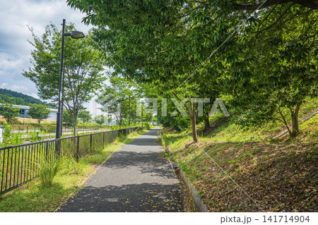 府道1号線沿いの歩道　大阪府 141714904