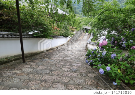 奈良県桜井市にある長谷寺の参道風景 奈良県桜井市にある長谷寺の参道風景 141715010